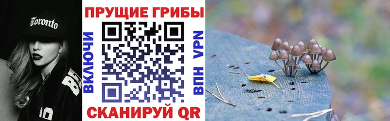 Псилоцибиновые грибы MAGIC MUSHROOMS  наркошоп  Нижние Серги 